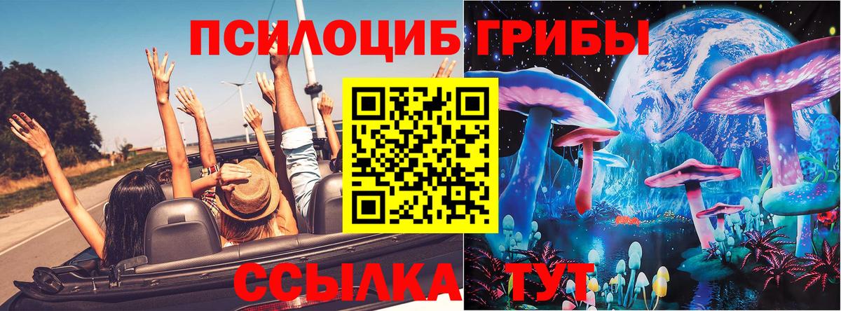 закладки  Галлюциногенные грибы ЛСД  Псилоцибиновые грибы MAGIC MUSHROOMS  Вход с VPN  Невинномысск 