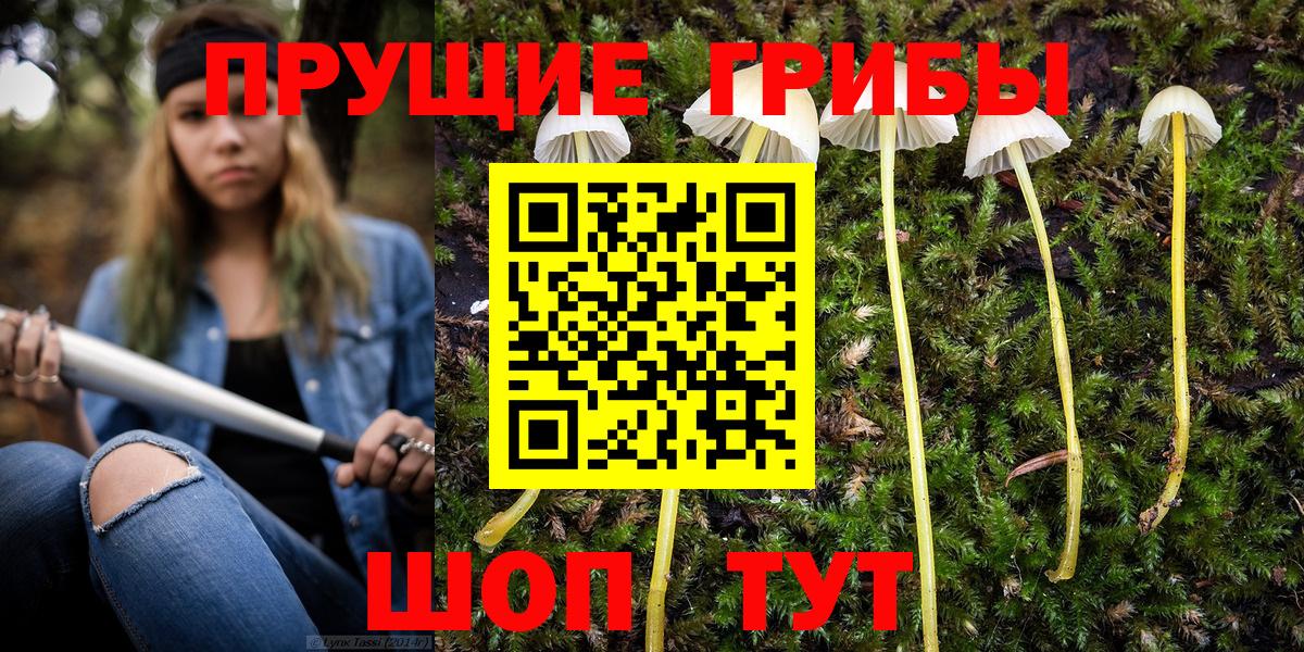 Галлюциногенные грибы мицелий Невинномысск